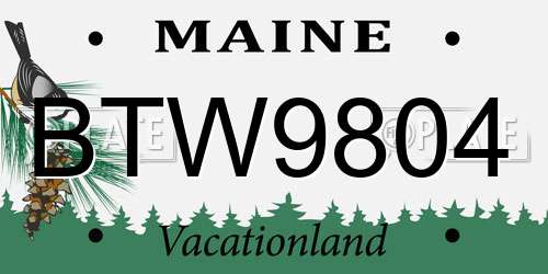 BTW9804 Maine License Plate
