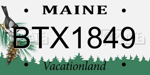 BTX1849 Maine License Plate