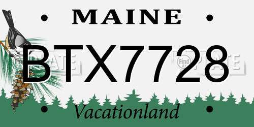 BTX7728 Maine License Plate