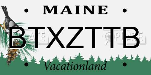 BTXZTTB Maine License Plate