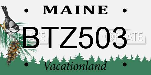 BTZ503 Maine License Plate