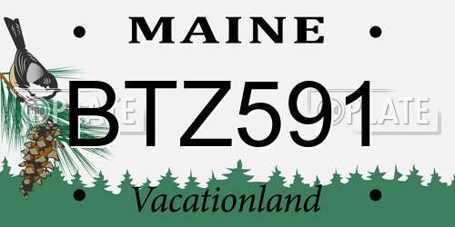 BTZ591 Maine License Plate