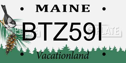 BTZ59I Maine License Plate