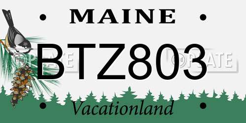 BTZ803 Maine License Plate