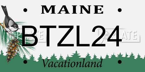 BTZL24 Maine License Plate