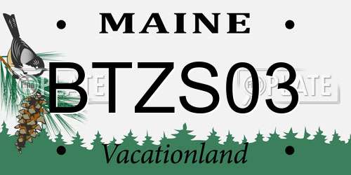 BTZS03 Maine License Plate