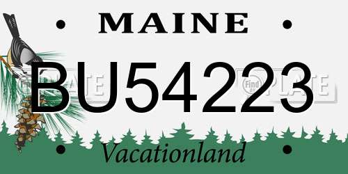 BU54223 Maine License Plate