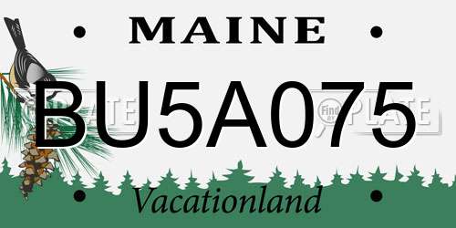 BU5A075 Maine License Plate