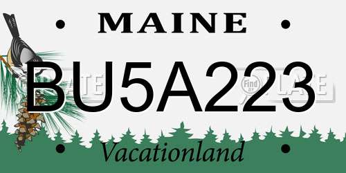 BU5A223 Maine License Plate