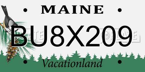 BU8X209 Maine License Plate