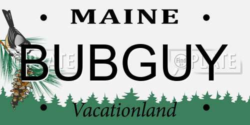 BUBGUY Maine License Plate
