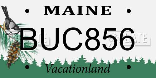 BUC856 Maine License Plate