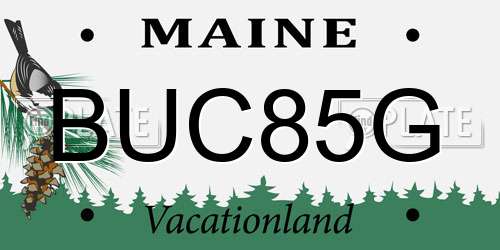 BUC85G Maine License Plate