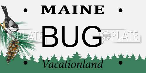 BUG Maine License Plate