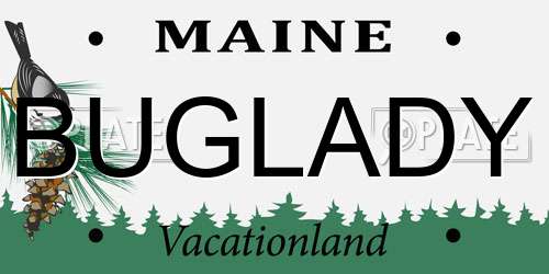 BUGLADY Maine License Plate