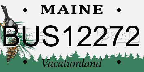 BUS12272 Maine License Plate
