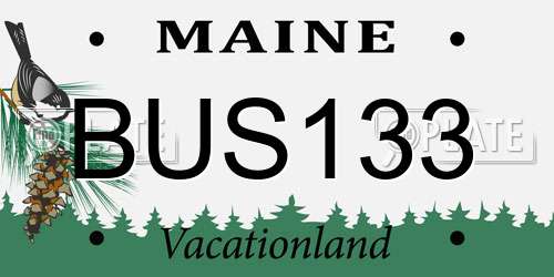 BUS133 Maine License Plate