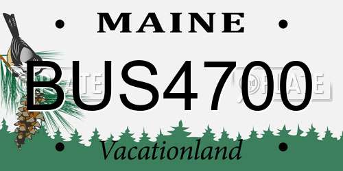 BUS4700 Maine License Plate