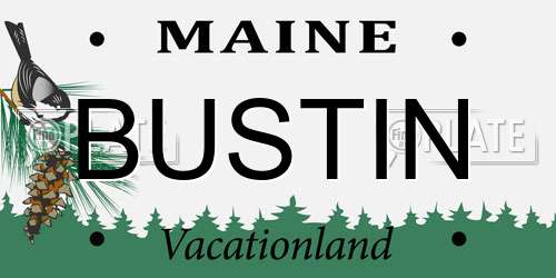 BUSTIN Maine License Plate