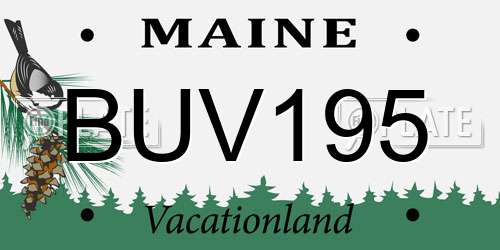 BUV195 Maine License Plate