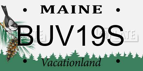 BUV19S Maine License Plate