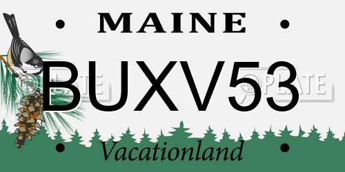BUXV53 Maine License Plate