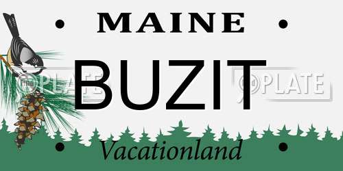BUZIT Maine License Plate