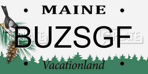 BUZSGF Maine License Plate