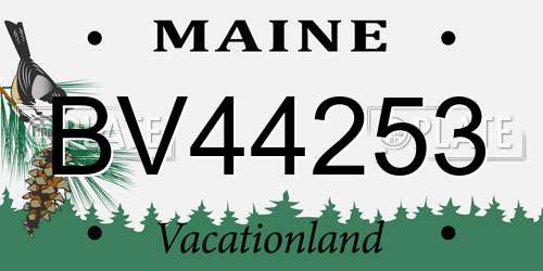 BV44253 Maine License Plate
