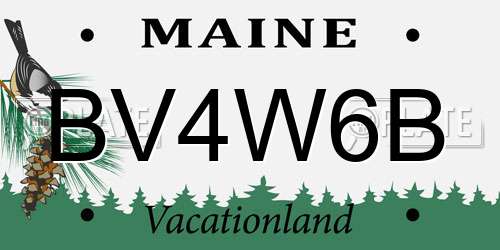 BV4W6B Maine License Plate