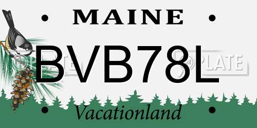 BVB78L Maine License Plate