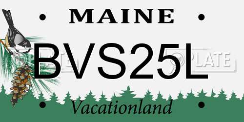 BVS25L Maine License Plate