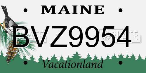 BVZ9954 Maine License Plate