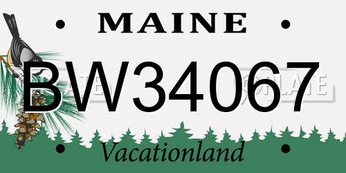 BW34067 Maine License Plate