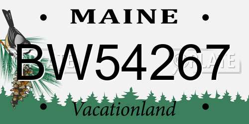 BW54267 Maine License Plate