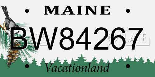 BW84267 Maine License Plate