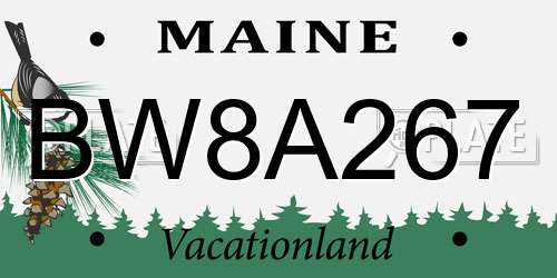 BW8A267 Maine License Plate