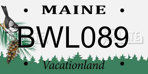 BWL089 Maine License Plate