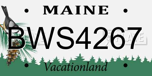 BWS4267 Maine License Plate