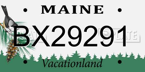 BX29291 Maine License Plate