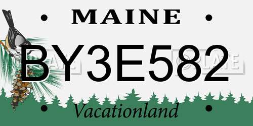 BY3E582 Maine License Plate