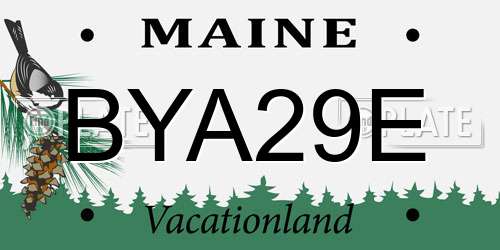 BYA29E Maine License Plate