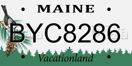 BYC8286 Maine License Plate