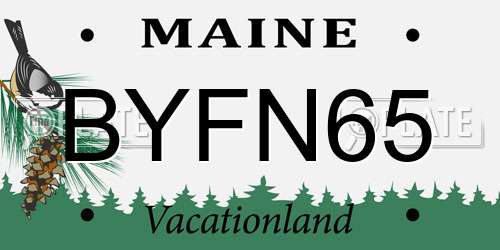 BYFN65 Maine License Plate