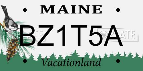 BZ1T5A Maine License Plate