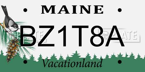 BZ1T8A Maine License Plate