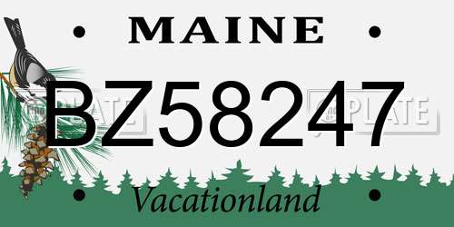 BZ58247 Maine License Plate