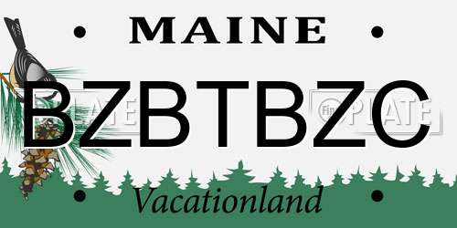 BZBTBZC Maine License Plate