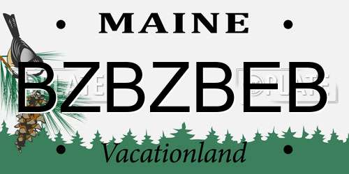BZBZBEB Maine License Plate