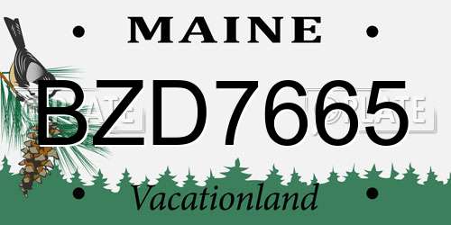 BZD7665 Maine License Plate